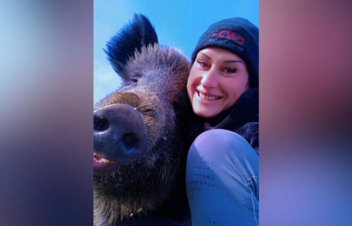 For justice, the sow Rillette can stay with her rescuer