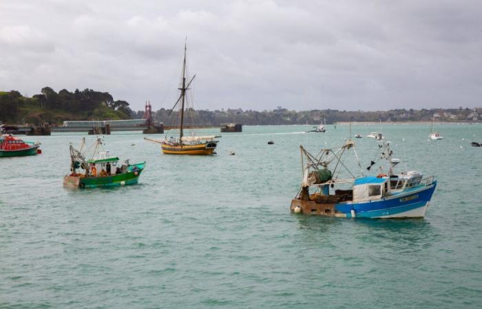 an English ship attacks a French trawler in the English Channel