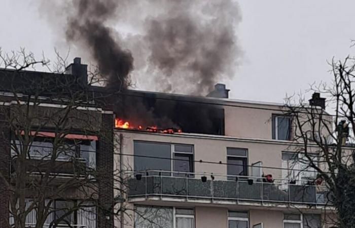 “Lots of smoke” after an “explosion” in a building: what happened in Neder-Over-Hembeek?