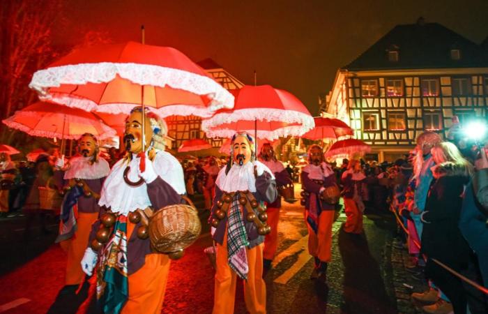 Seven of the most beautiful carnival parades in Baden-Württemberg