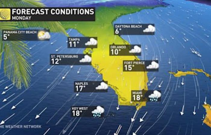 Snow in Florida? Retirees in unprecedented cold and a winter storm in sight!