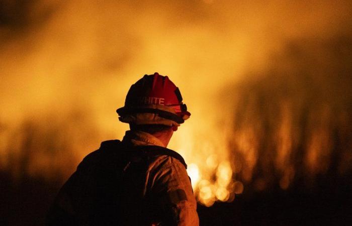 Fires in Los Angeles: “That people do things like that…” Tennis legend has his trophies stolen after saving them from the flames