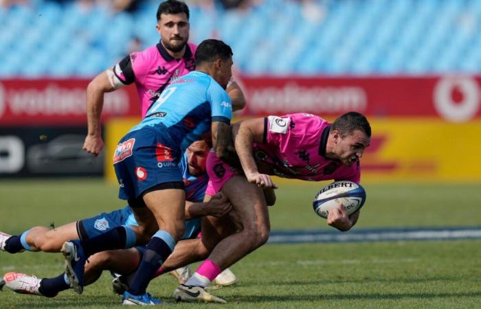 Stade français eliminated from the Champions Cup