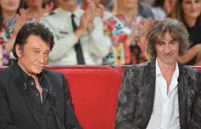 Louis Bertignac reveals the behavior of Johnny Hallyday during their joint tour