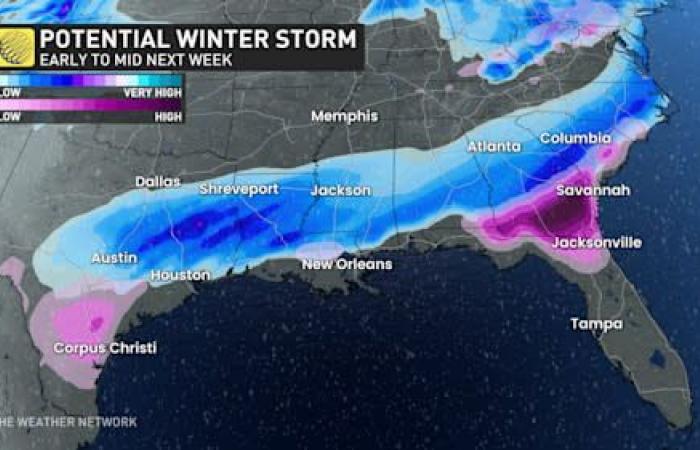 Snow in Florida? Retirees in unprecedented cold and a winter storm in sight!