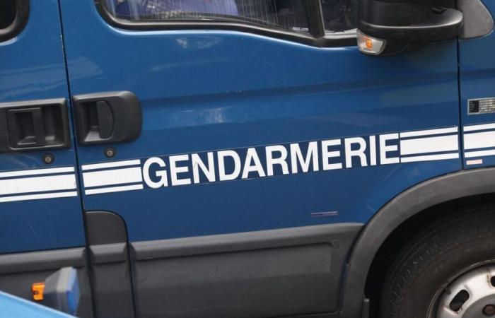 Femicide: a sixty-year-old admits to having killed his wife, the body discovered in Vendée