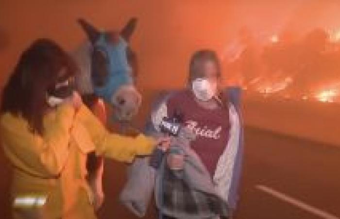 People risk their lives to save several horses from devastating fires