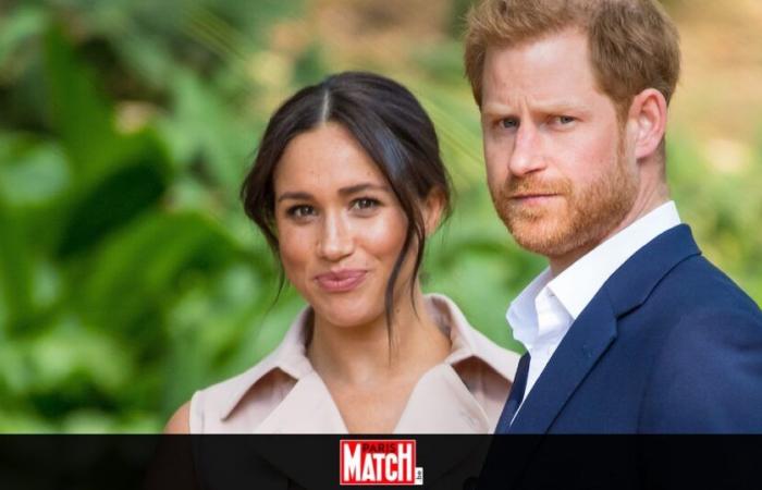 New Celebrities Attack Meghan Markle Following Los Angeles Fires: “Go Home!”