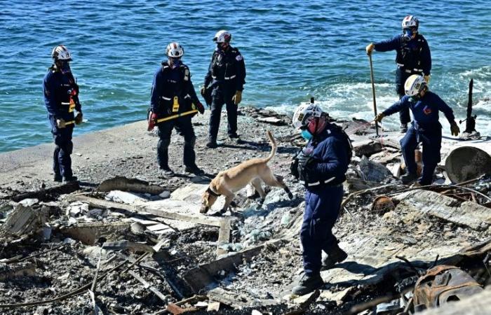 Dogs provide relief to Los Angeles fire rescuers