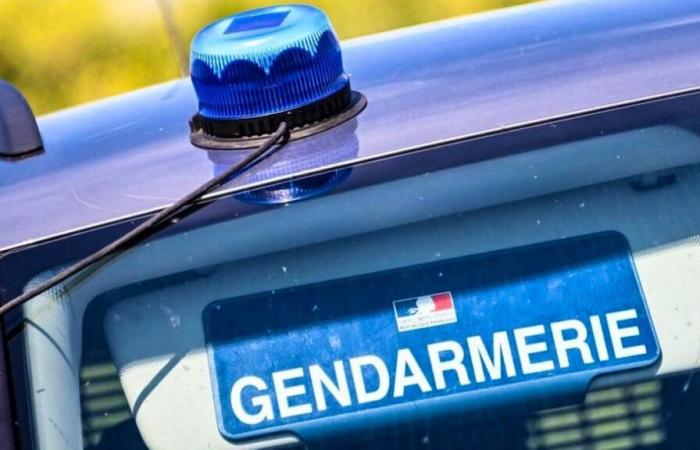 France: a mother tried for starving her daughter to death