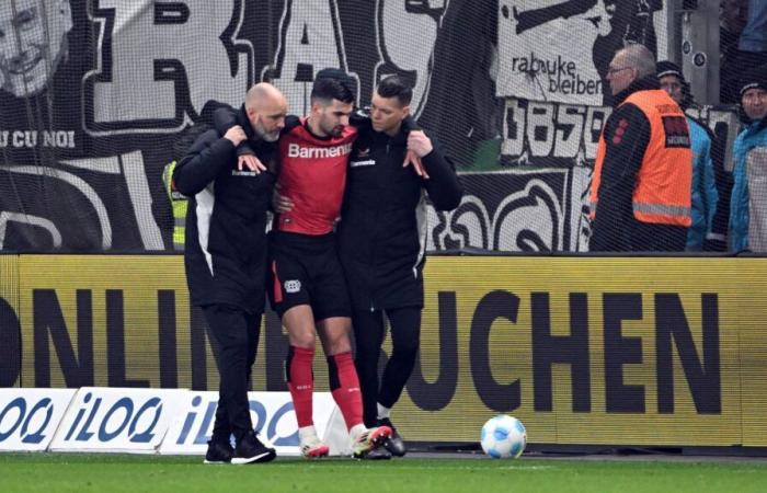 Bundesliga: “Slap in the face”: Bayer’s terrier probably seriously injured