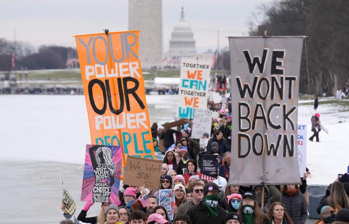 Thousands of demonstrators against Trump in the streets of Washington (PHOTOS)