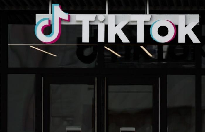 Donald Trump is promising Tiktok a 90-day delay