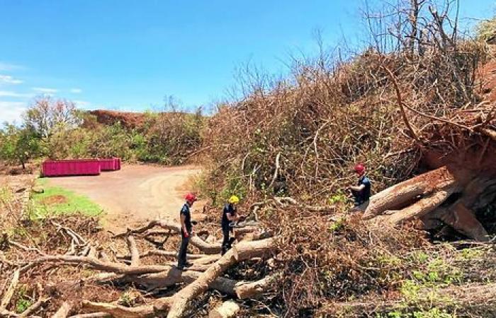 “All healthcare structures were swept away by the cyclone”: on a mission in Mayotte for ten days, these Pica rescuers tell the story of a devastated island