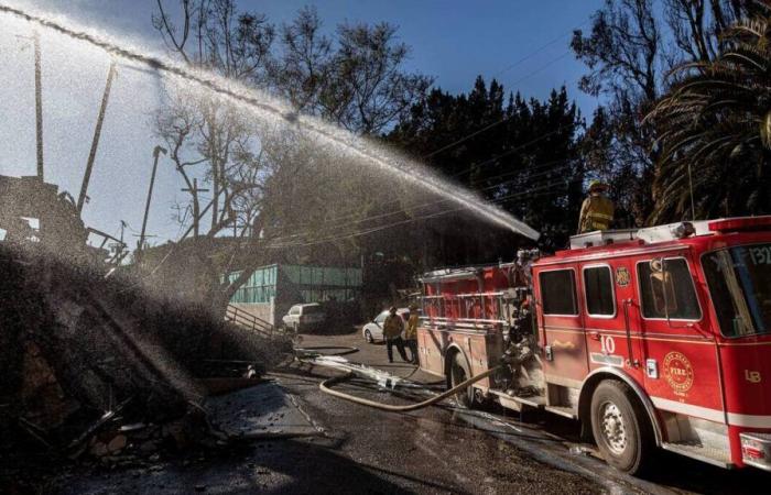 Fires in Los Angeles: winds calm, Trump should go there