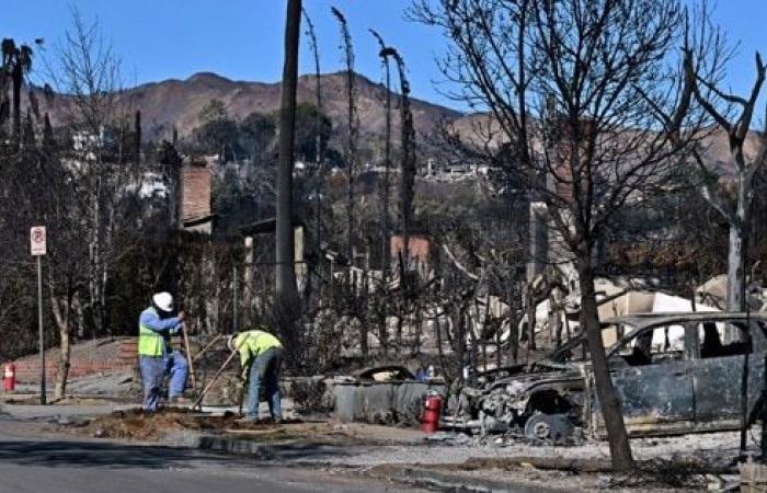 Fires in California – Calm winds in Los Angeles, Trump should go there