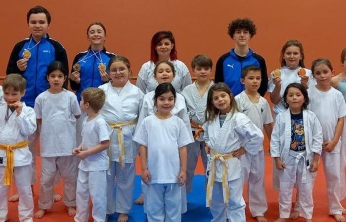 Pagny-sur-Meuse. Ten medals at the Meuse championship for karatekas