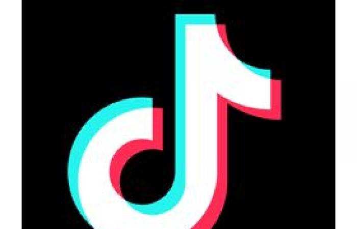 TikTok calls on Joe Biden not to close its doors this Sunday