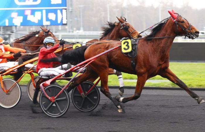 PMU – Arrival of the quinté on Saturday January 18 at Paris-Vincennes: Isofou du Chêne as a good omen