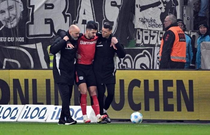 Bundesliga. Suspected very serious injury for ex-Rennais Martin Terrier. Sport