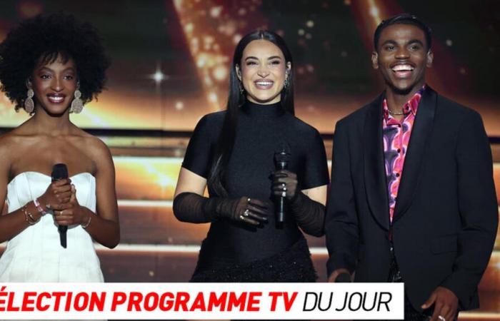 TV program: Star Academy, Murders in Honfleur… what to watch on TV this evening?