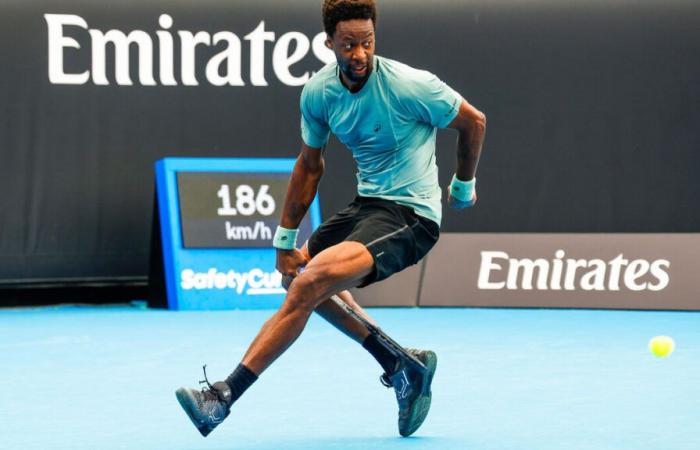 Monfils-Fritz: at what time and on which TV channel to follow the Frenchman’s 3rd round at the Australian Open?