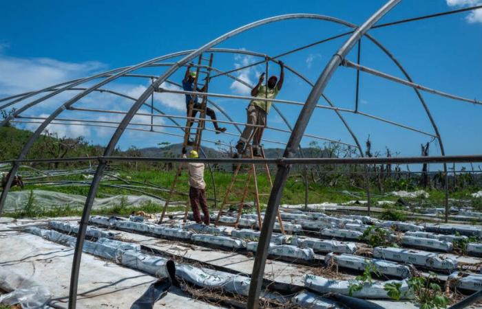 in Mayotte, farmers face a land of desolation – Libération