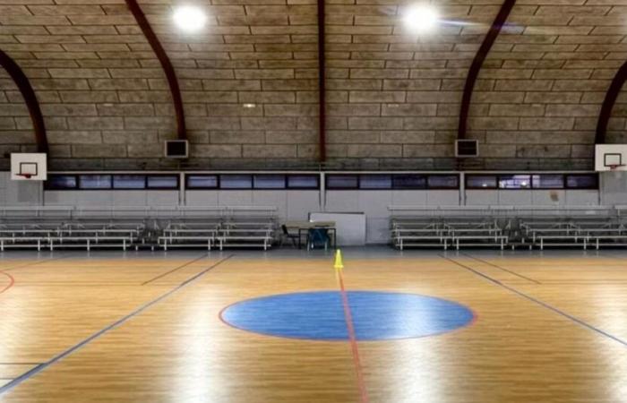 Incivility from parents, attacks from referees… In Gironde, amateur basketball supporters deprived of matches this weekend