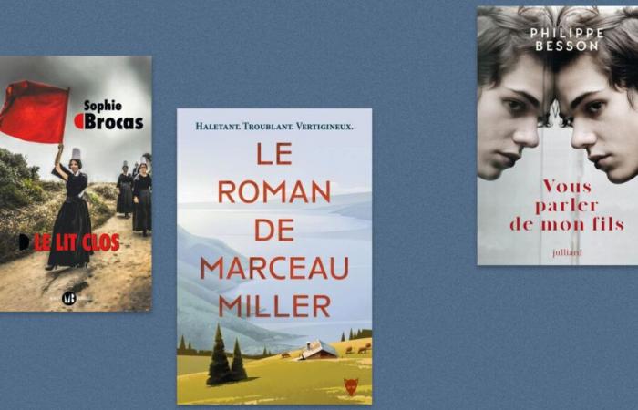 Sophie Brocas, “Marceau Miller”, Philippe Besson… Our selection of books of the week