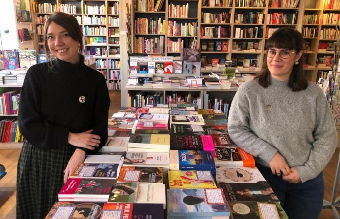 “We no longer have time to read”… Overwhelmed with books, these bookstores declare a truce on new releases