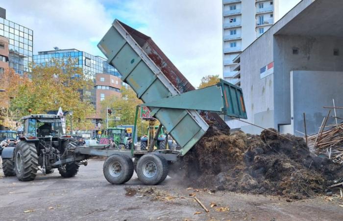 a funny demonstration announced by the farmers