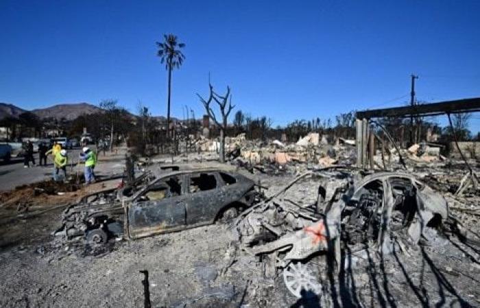 Fires in California – Calm winds in Los Angeles, Trump should go there