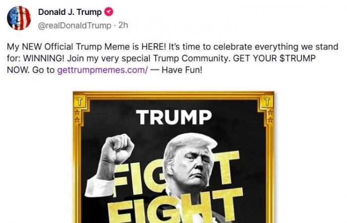 Did Trump just drop $TRUMP meme coin on Solana? Token explodes to $8 billion market cap in less than three hours