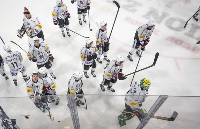 Ice hockey. One more victory for Fribourg-Gottéron – La Liberté