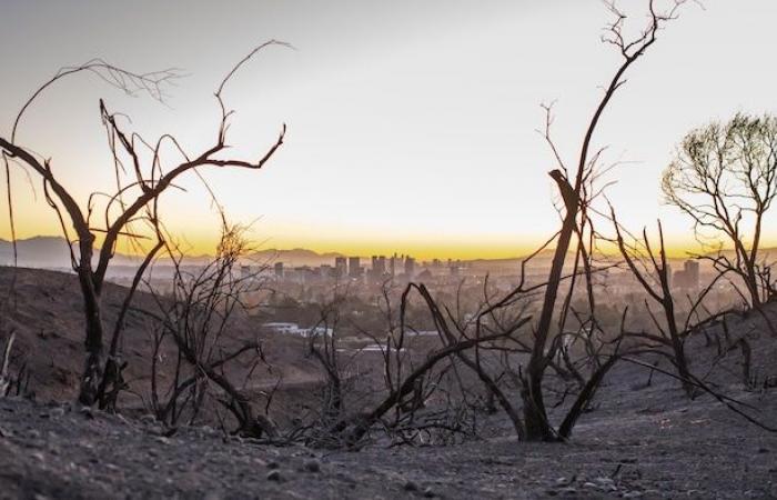 California fires further push the boundaries of climate adaptation