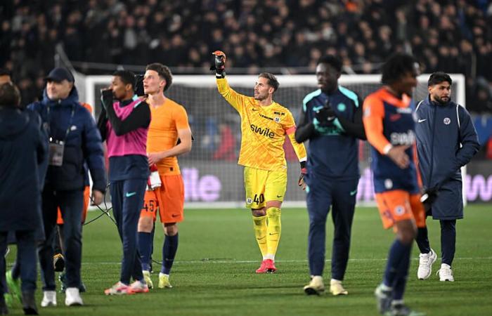 [Mercato] No offer received by Montpellier for Benjamin Lecomte but goalkeepers in the sights