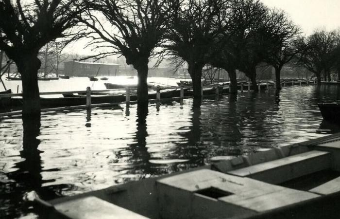 “We did not believe the danger was so threatening”: when Angers was flooded in 1936