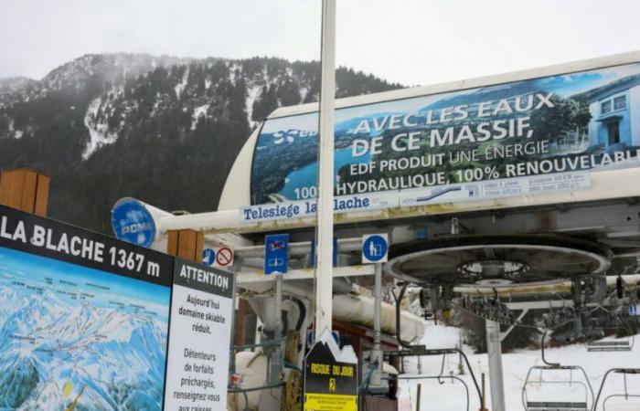 Isère. Alpe du Grand Serre: precision