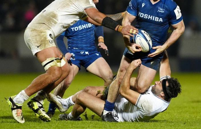 Champions Cup – Sale notes – Toulon: the Halagahu-Rebbadj duo resisted, Biggar missed