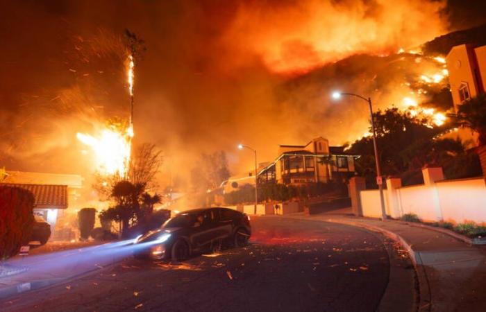 How much are the huge losses caused by the fires in California?