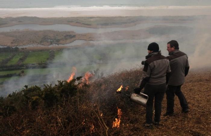 Why did part of the Hague moor burn this Sunday?