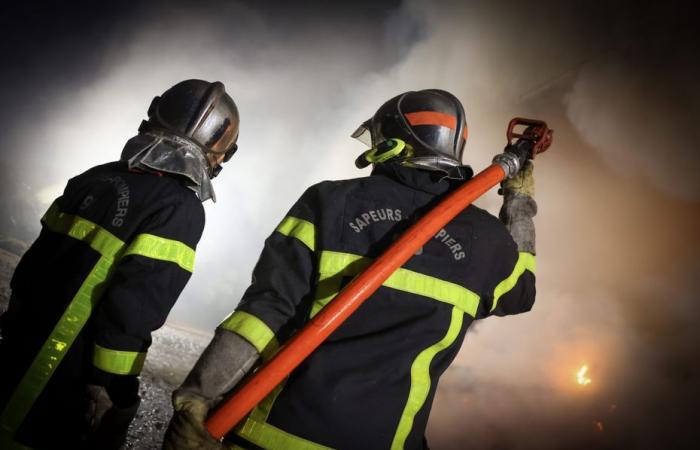 “Irritant odors” released by the fire at an industrial waste site near Lyon