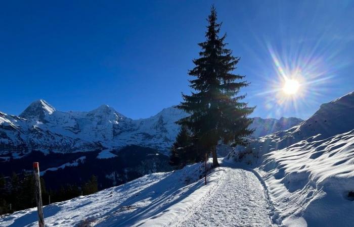 I tested the steepest cable car in the world in Switzerland