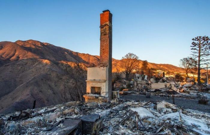 Renovations, garden cleaning, building permits… After the Los Angeles fires, how can urban areas be adapted to megafires?