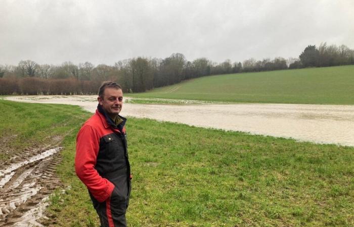 Excess rainfall in Orne will have catastrophic impacts on harvests