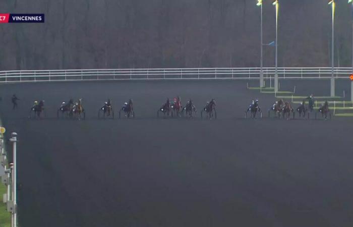 PRIX DE DOUVRES – PARIS-VINCENNES – 01/18/2025: starters, predictions and results in videos – Race 7