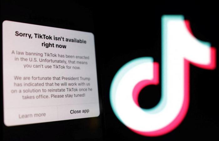 TikTok’s crazy day in the United States, blocked then restored