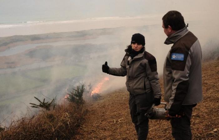 Why did part of the Hague moor burn this Sunday?