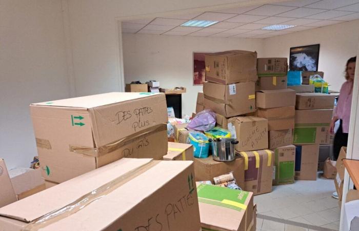 in Fougères, an impressive quantity of donations for Mayotte