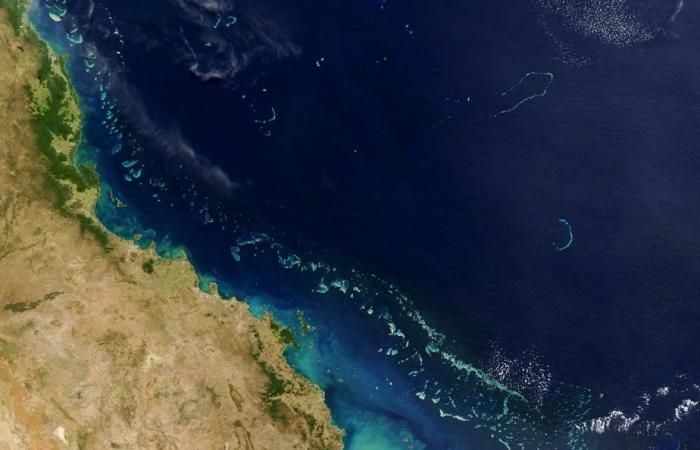 Hope for the Great Barrier Reef | “Refuges” where corals thrive